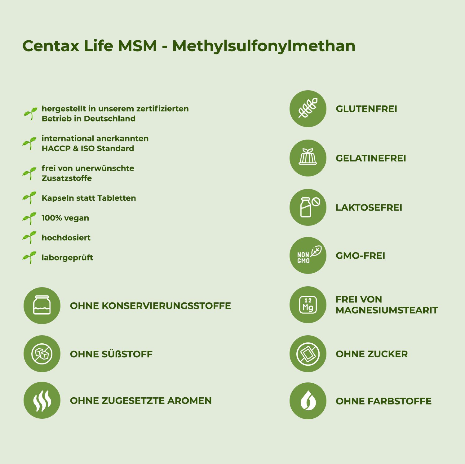 MSM - Methylsulfonylmethan (365 Vegan Kapseln)